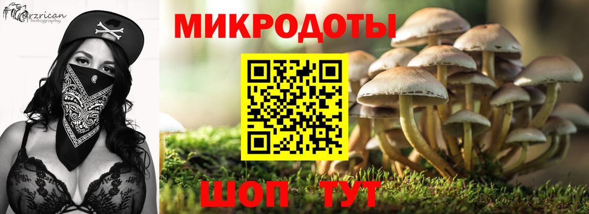 Галлюциногенные грибы Psilocybe  Вход с VPN  Петрозаводск 